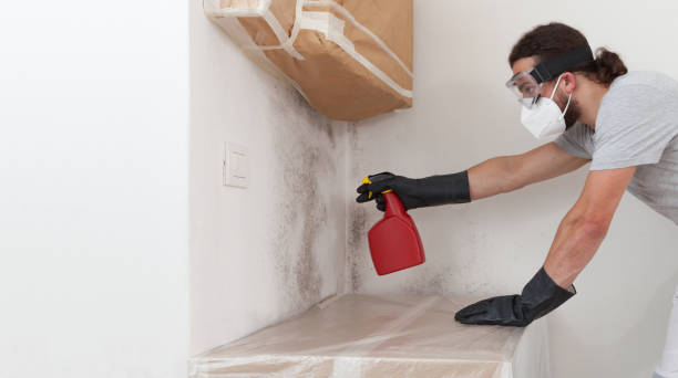 Professional Mold Cleanup technician working in Lewisville, TX