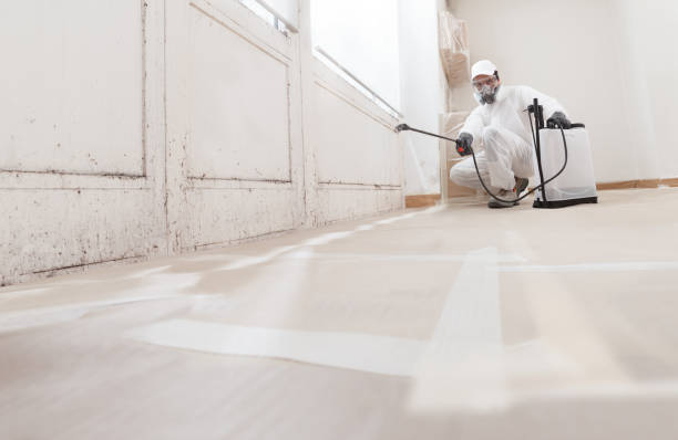 24/7 Emergency Mold Cleanup experts in Lewisville, TX
