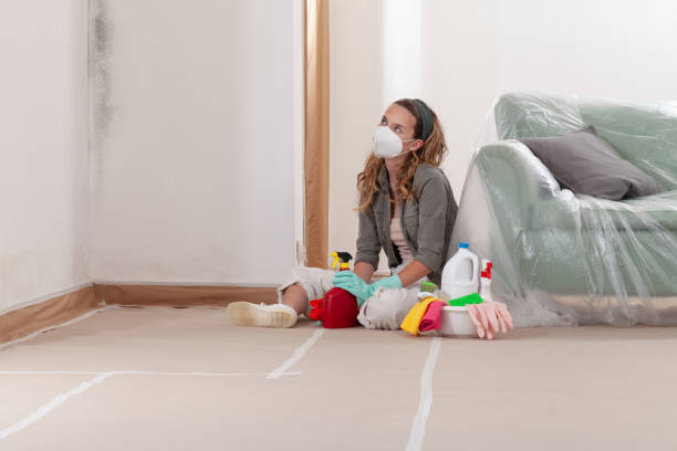 Reliable Mold Cleanup contractor in Lewisville, TX by Cheap Mold Removal
